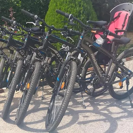 Lisa + Free Bikes Pula